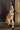 Beige S