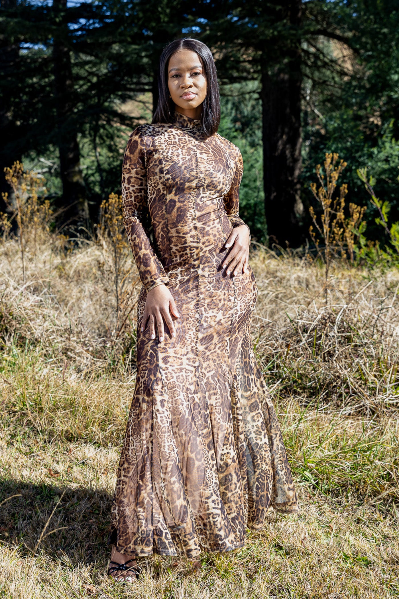 Amaya Printed Mesh Dress
