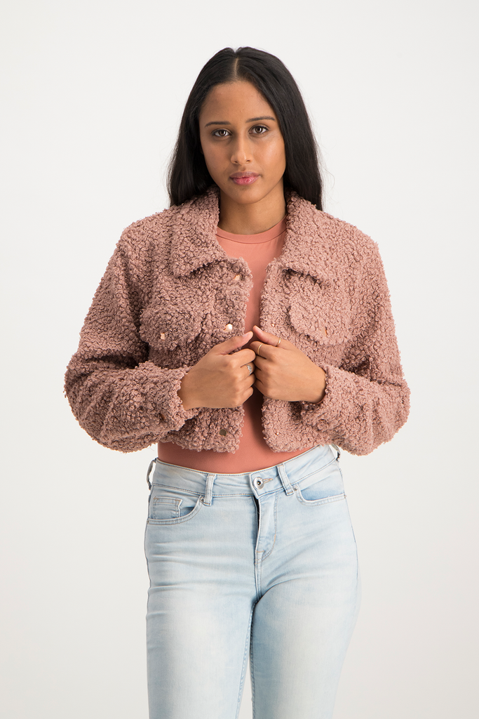 Blush clearance teddy jacket